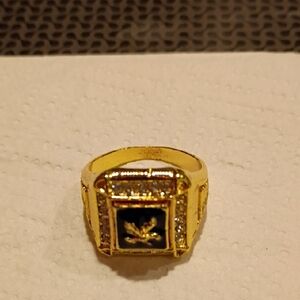 Gold and Black Men's Ring